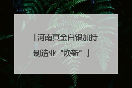 河南真金白银加持制造业“焕新”